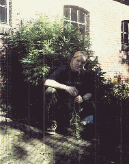 Dutch mate Eelko kultivating his Marihuana